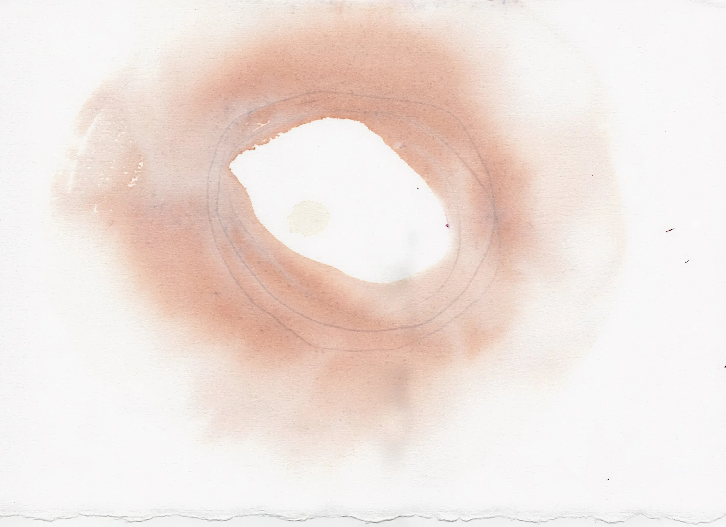 Study 5 | Watercolour and ink on paper, 10x14 inches  INQUIRE 