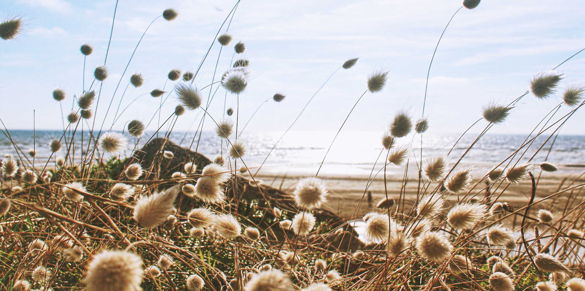 Beach_home.jpg
