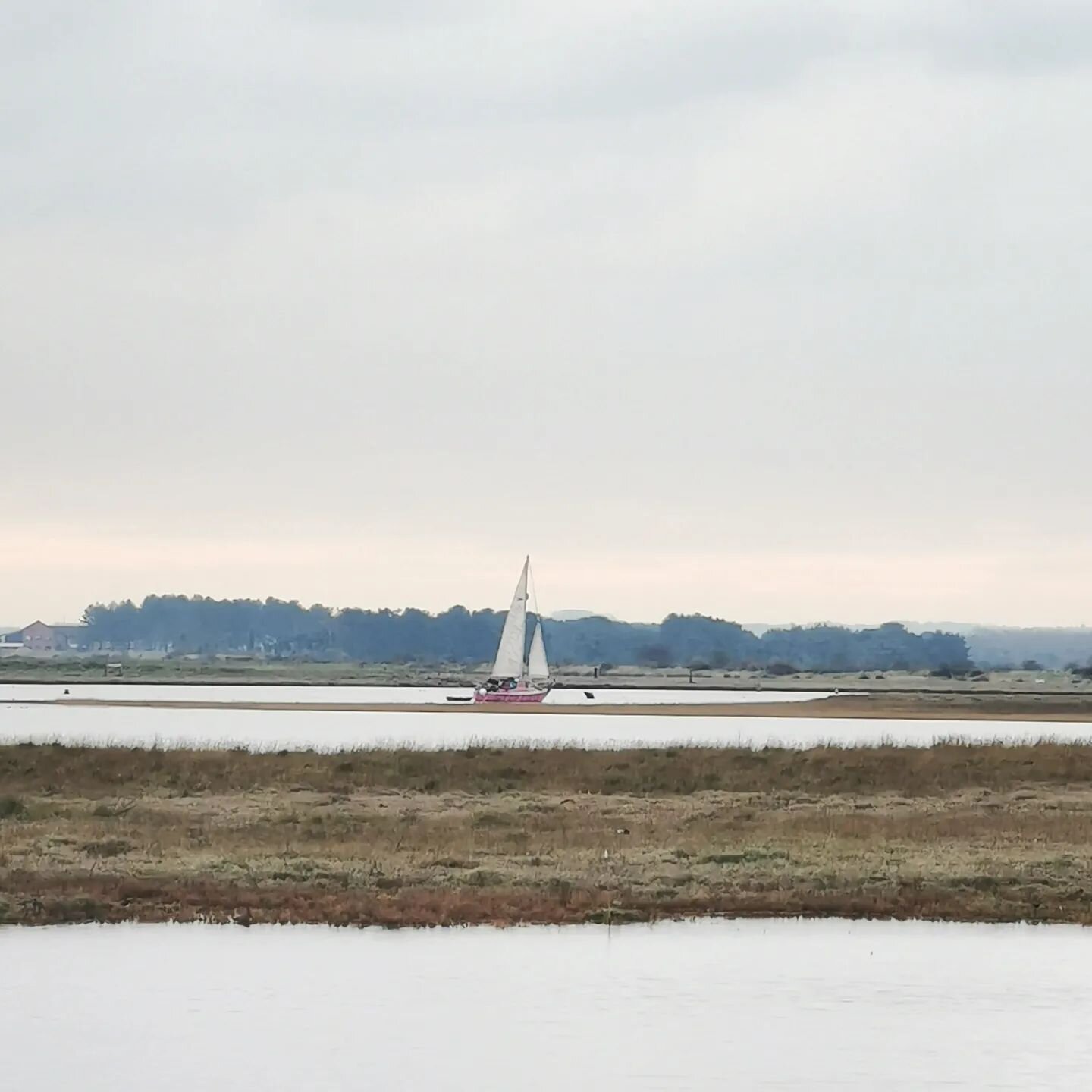 Pegwell Bay Nature Reserve is a beautiful spot for those who enjoy long coastal walks or cycles. 

&quot;Escape to the coastal haven of Sandwich &amp; Pegwell Bay National Nature Reserve, of international importance for its bird populations. Listen t