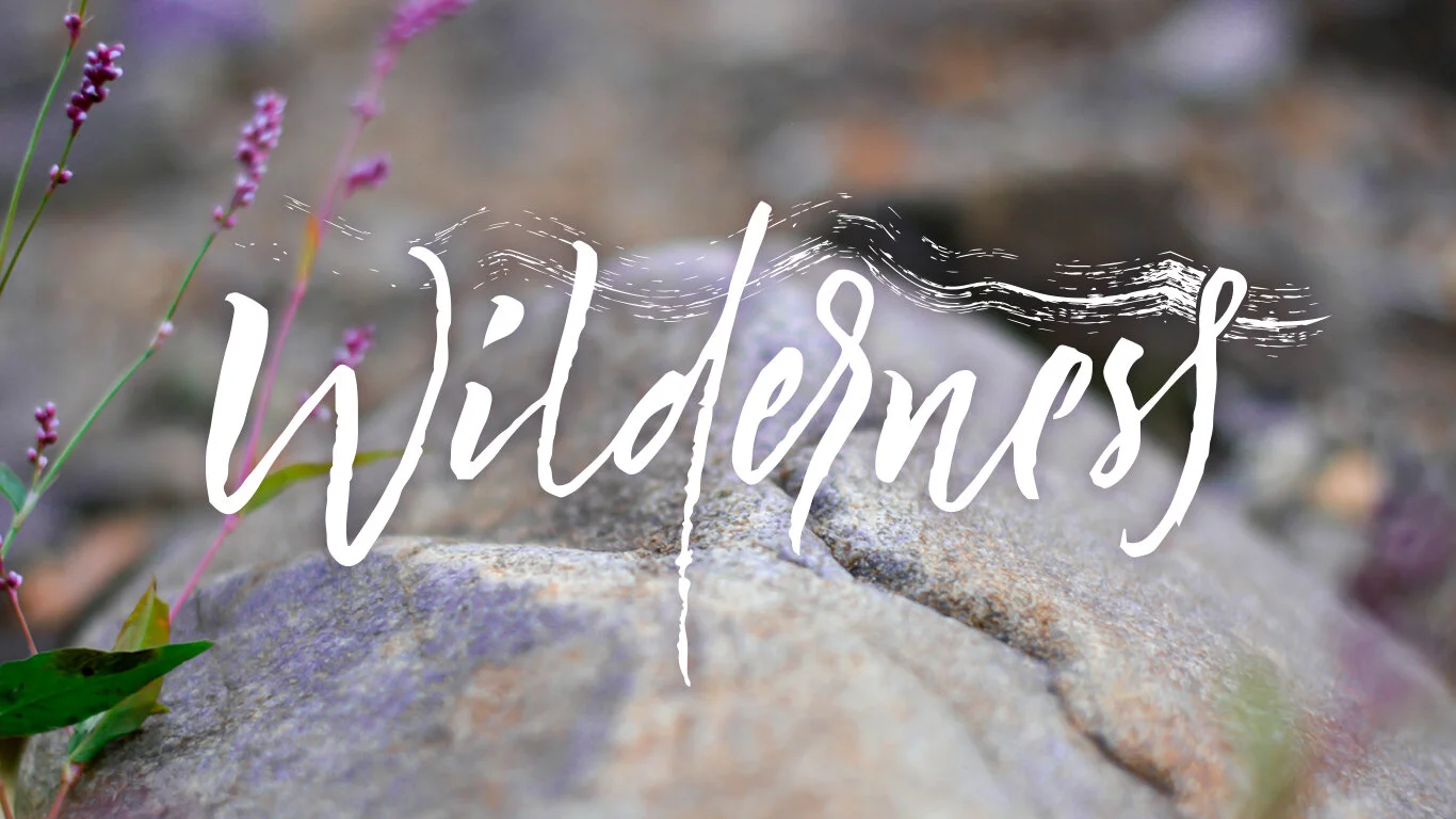 Freedom in the Wilderness