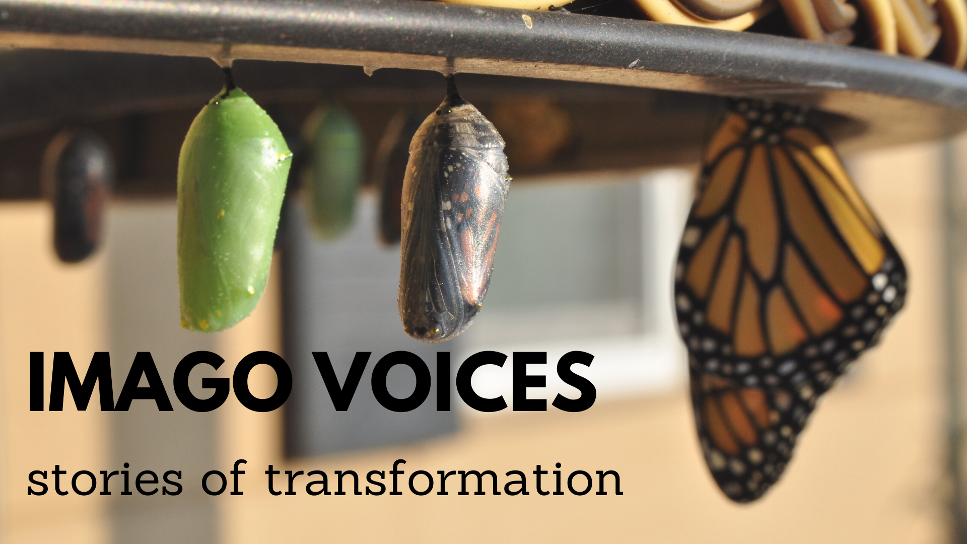 Transformation of Beliefs