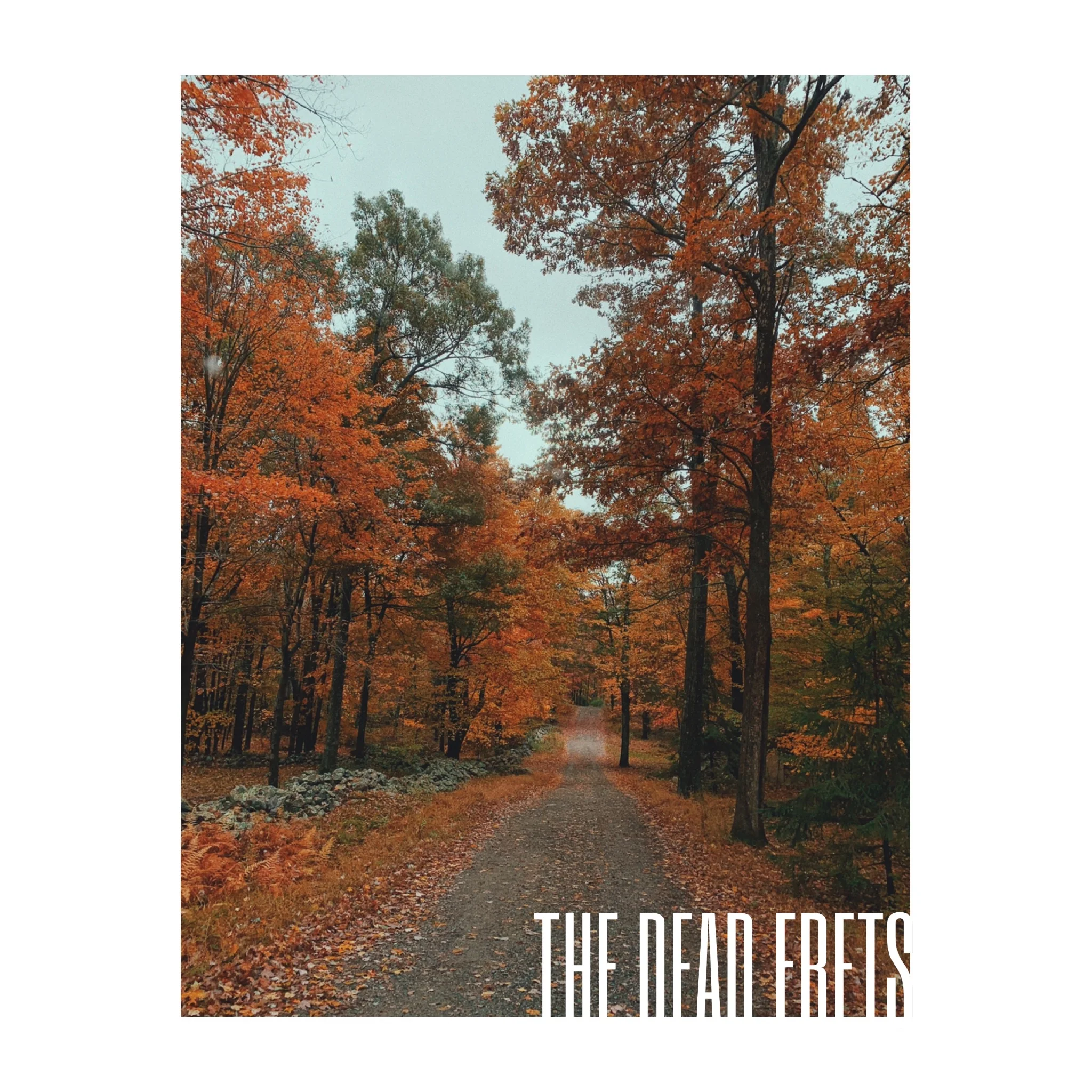 The Dead Frets Album Cover.jpeg