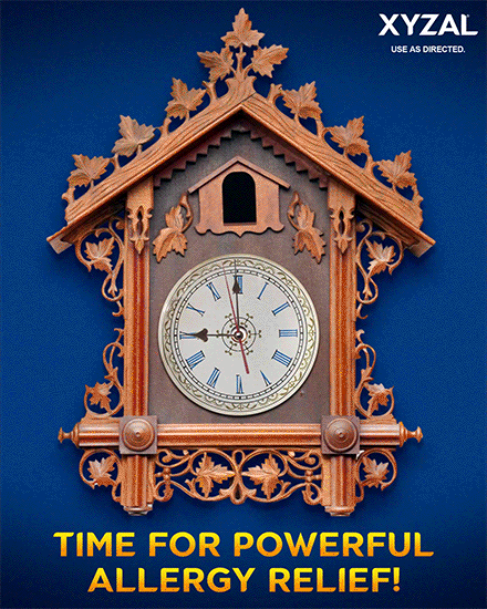XYZAL Cuckoo Clock