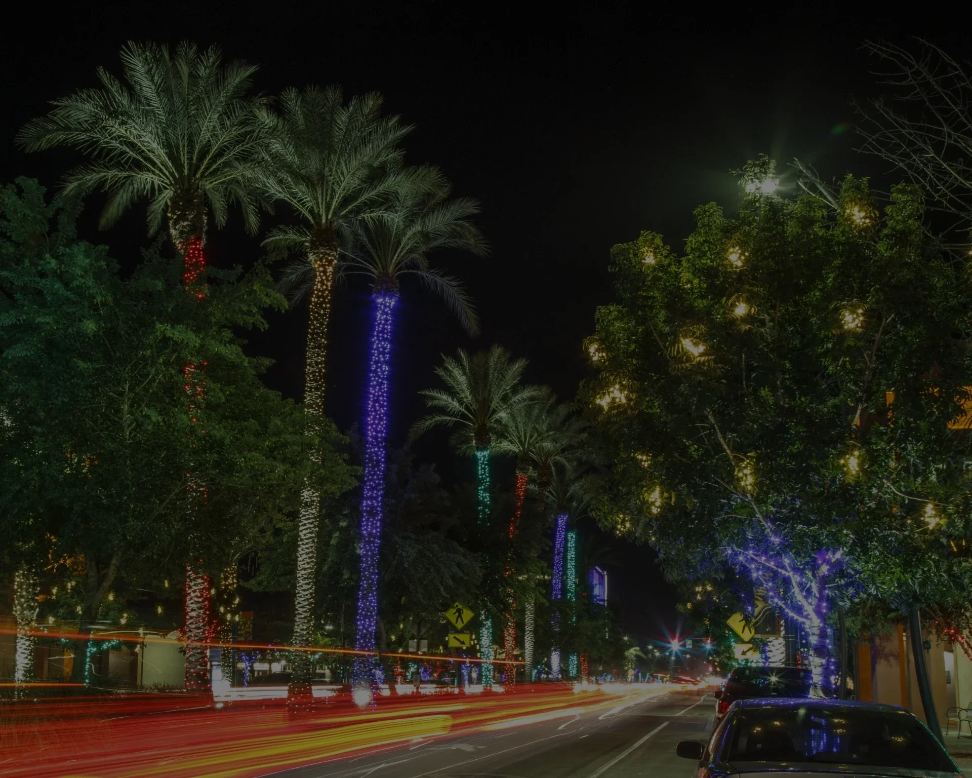 Night street scene in ChandlerGilbert with palm trees wrapped in colorful lights and cars passing by.webp