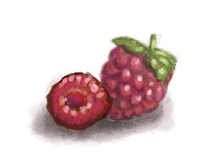 Fruit-3-by-Alicia-Schwab.jpg