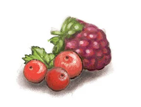 Fruit-4-by-Alicia-Schwab.jpg