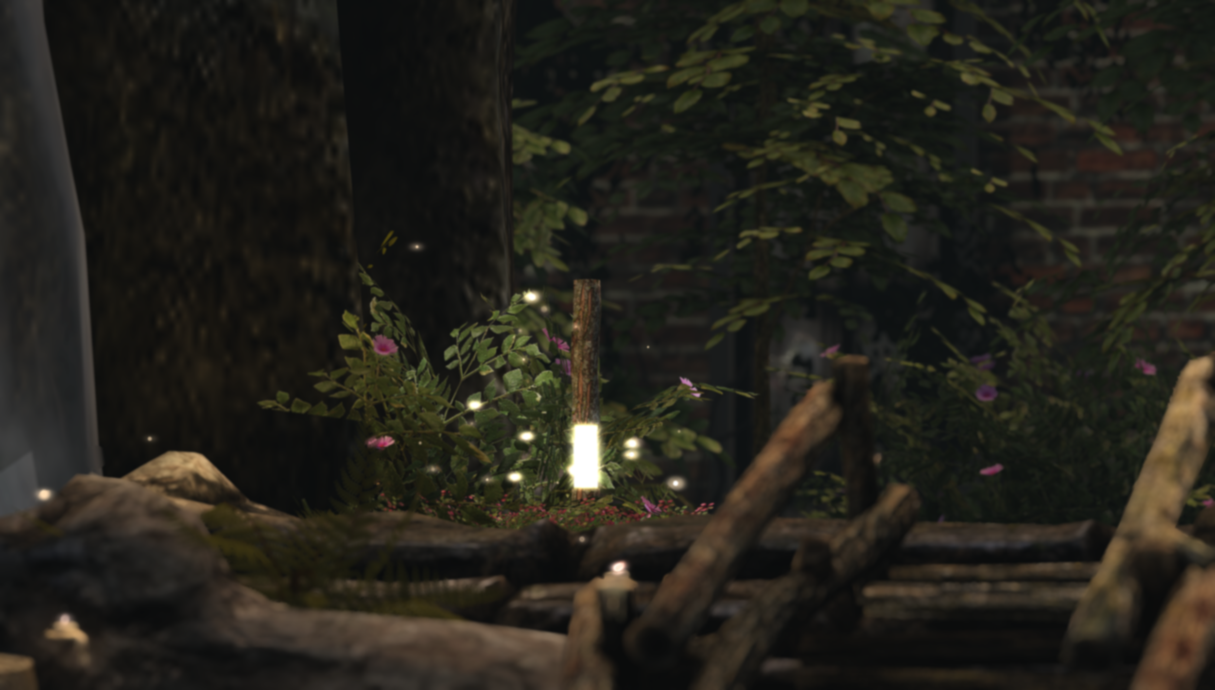 rugbirds_2026-07-07_171807_001.png