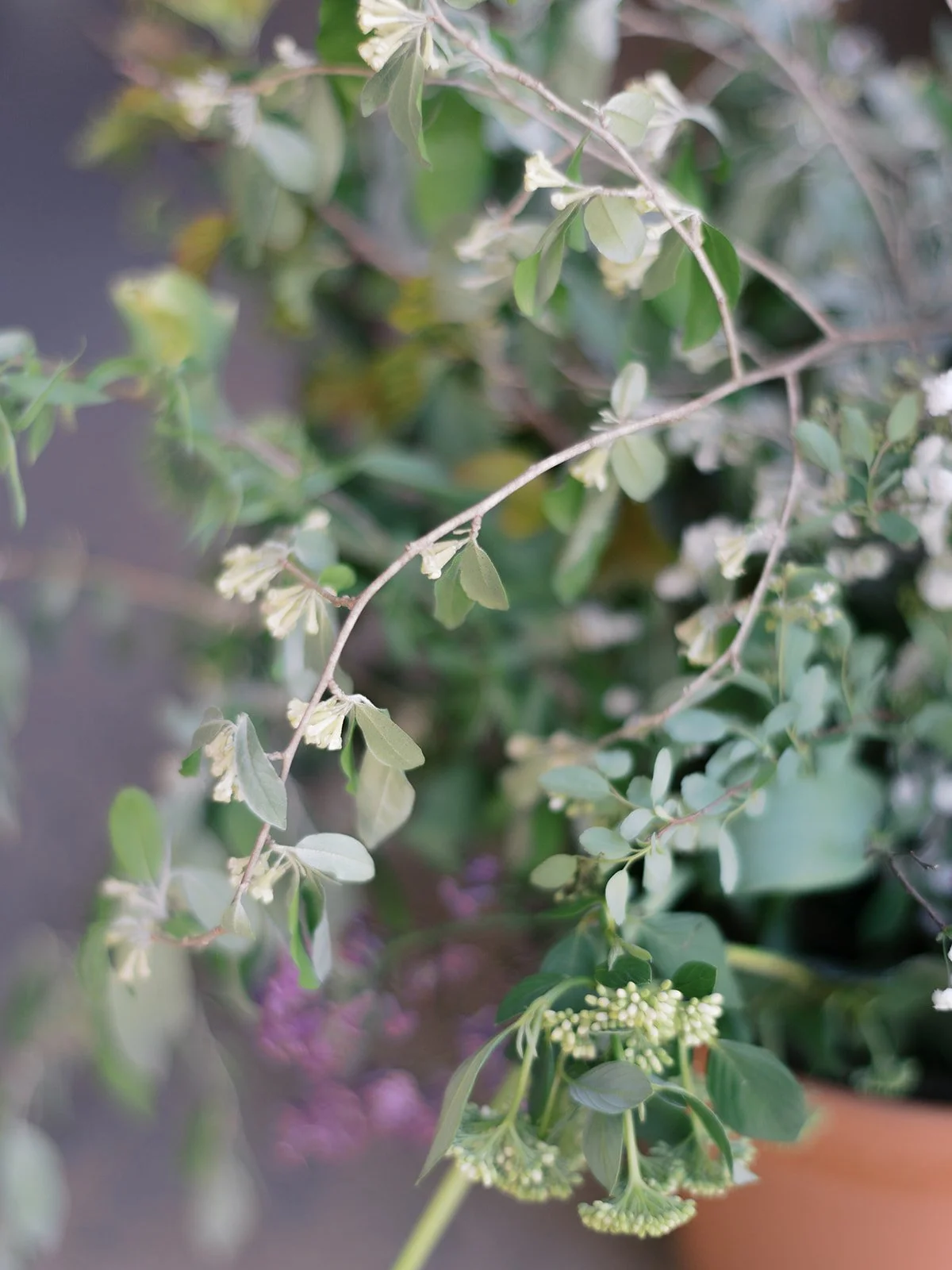 WyndcrestEstateWeddingFlorals00002.jpg