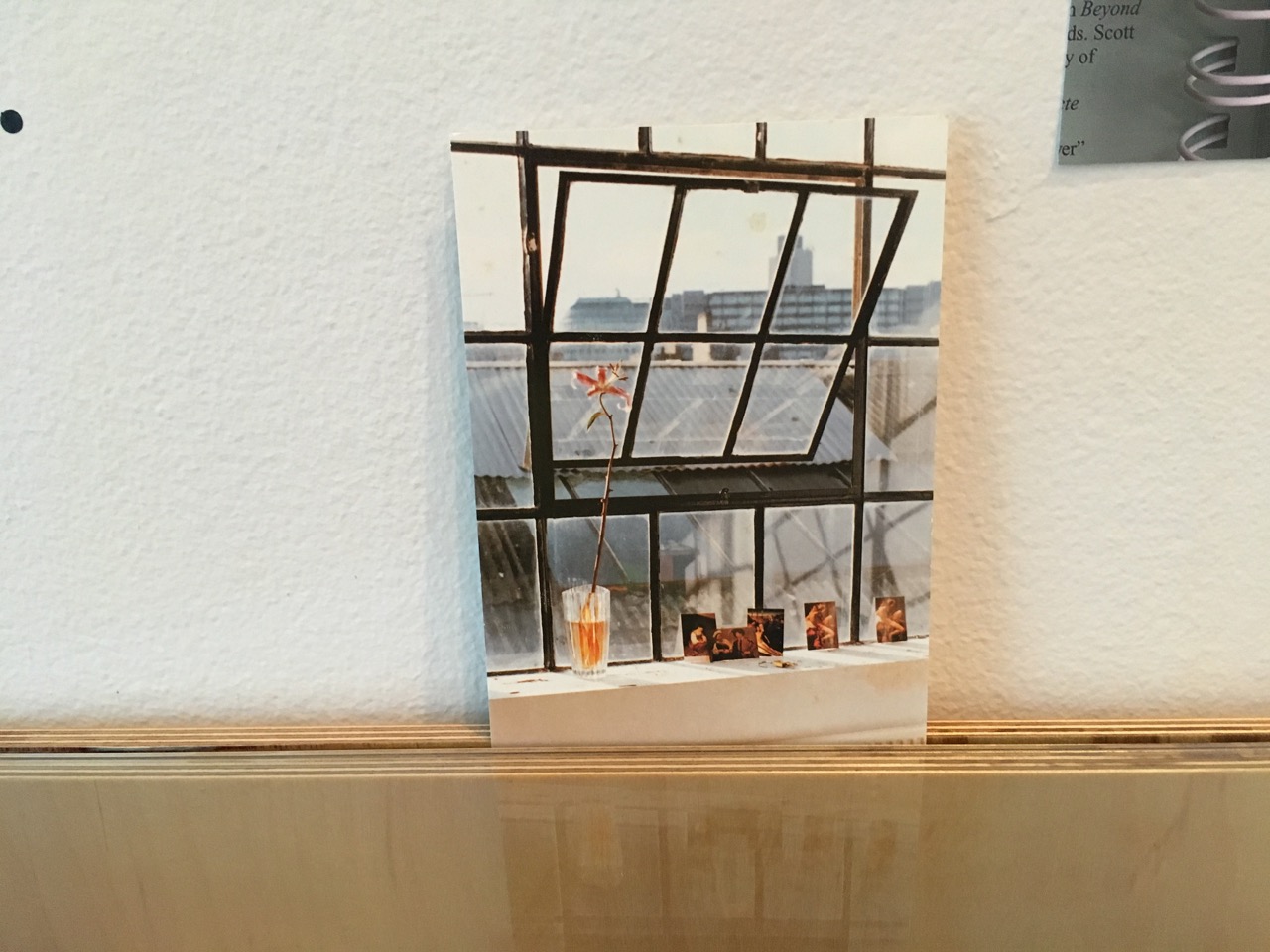 Postcard of photograph by Wolfgang Tillmans titled Caravaggio (1997).