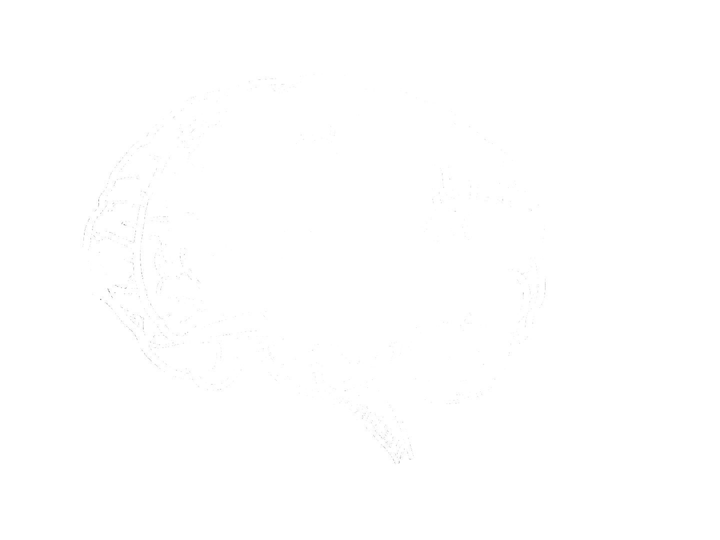 Fresh Mind