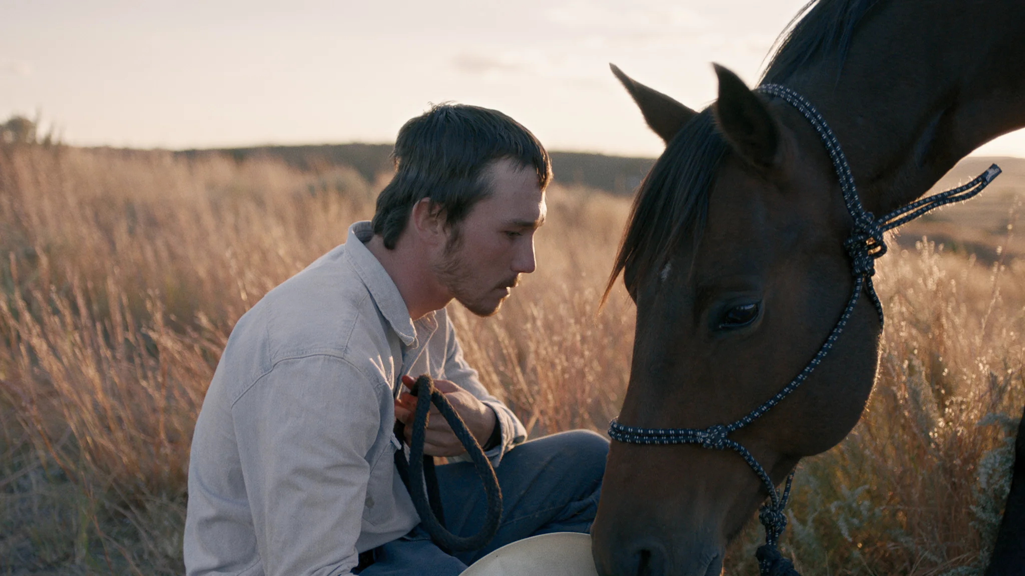 Brady Jandreau stars in "The Rider." (Photo courtesy Sony Pictures Classics)