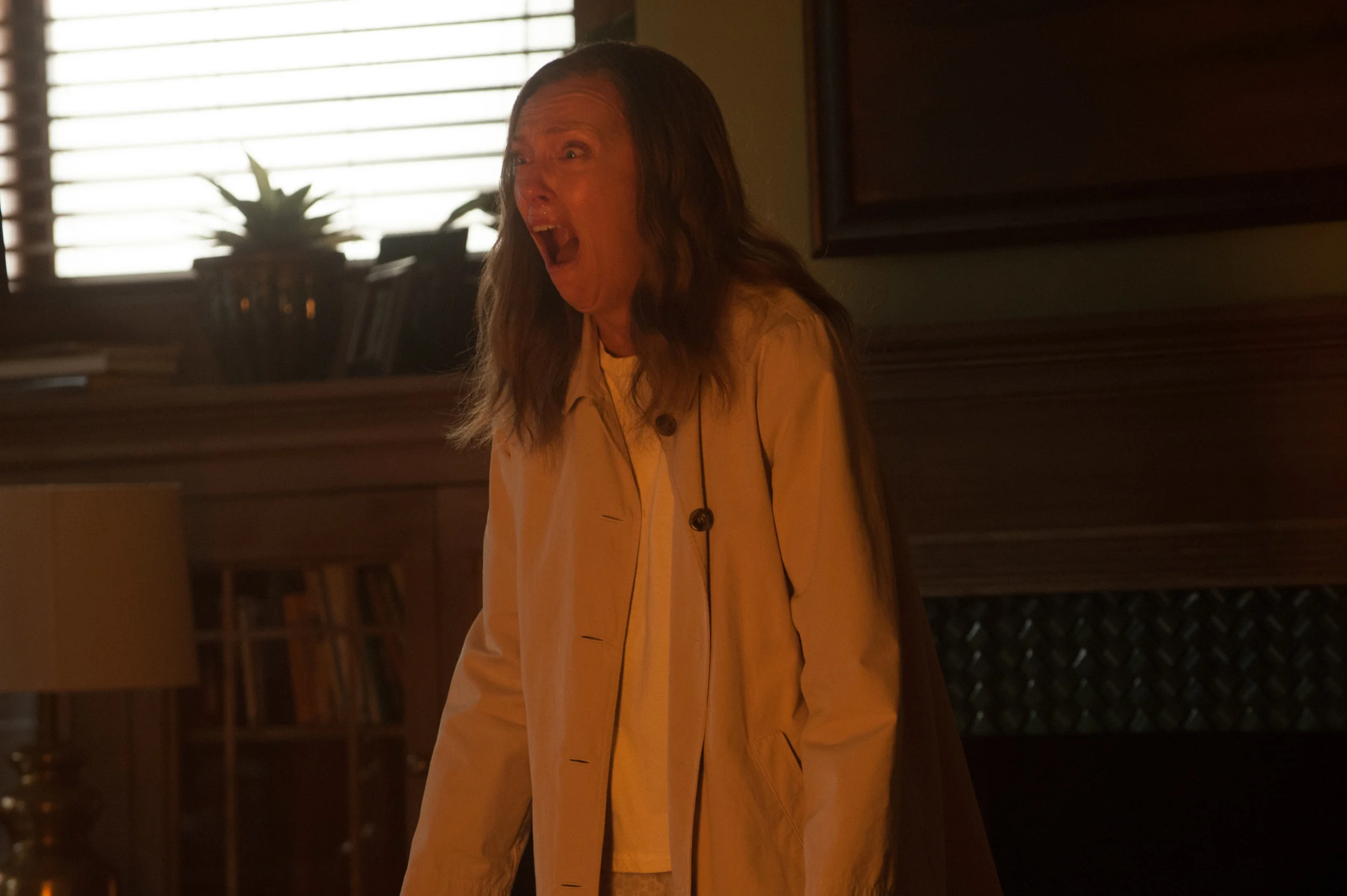 Toni Collette in "Hereditary." (Photo courtesy A24/Reid Chavis)