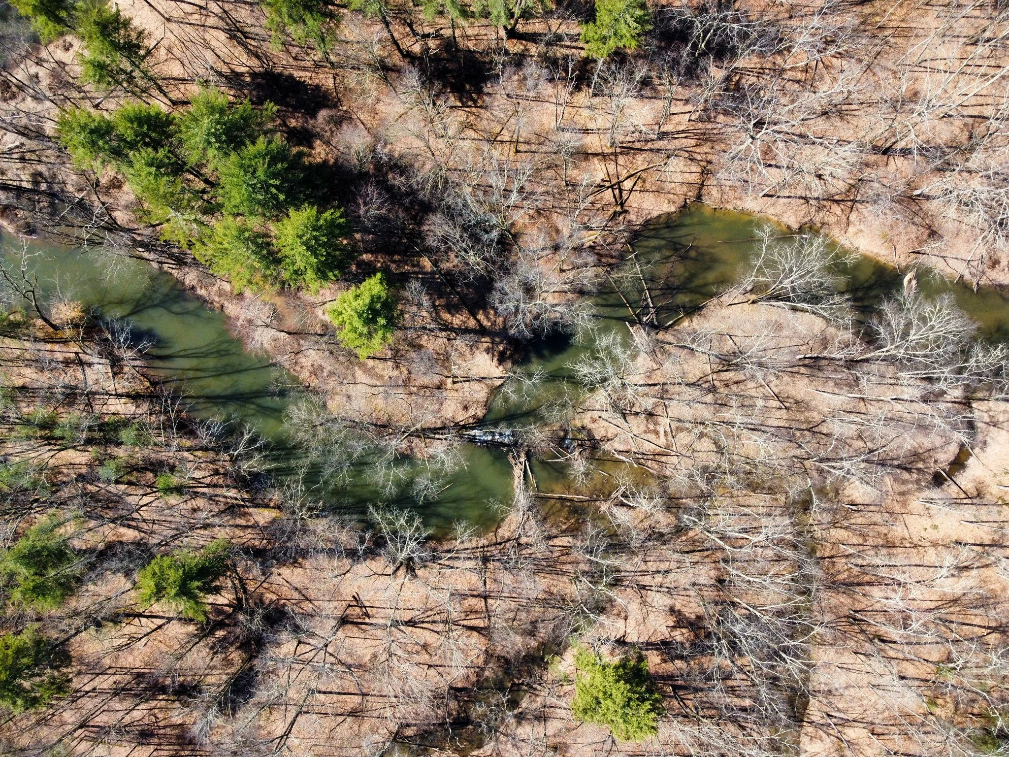 RemoteMediaFile_6554115_0_2022_03_25_11_41_00.JPG