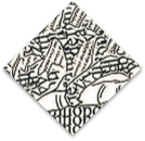 Editor's Note