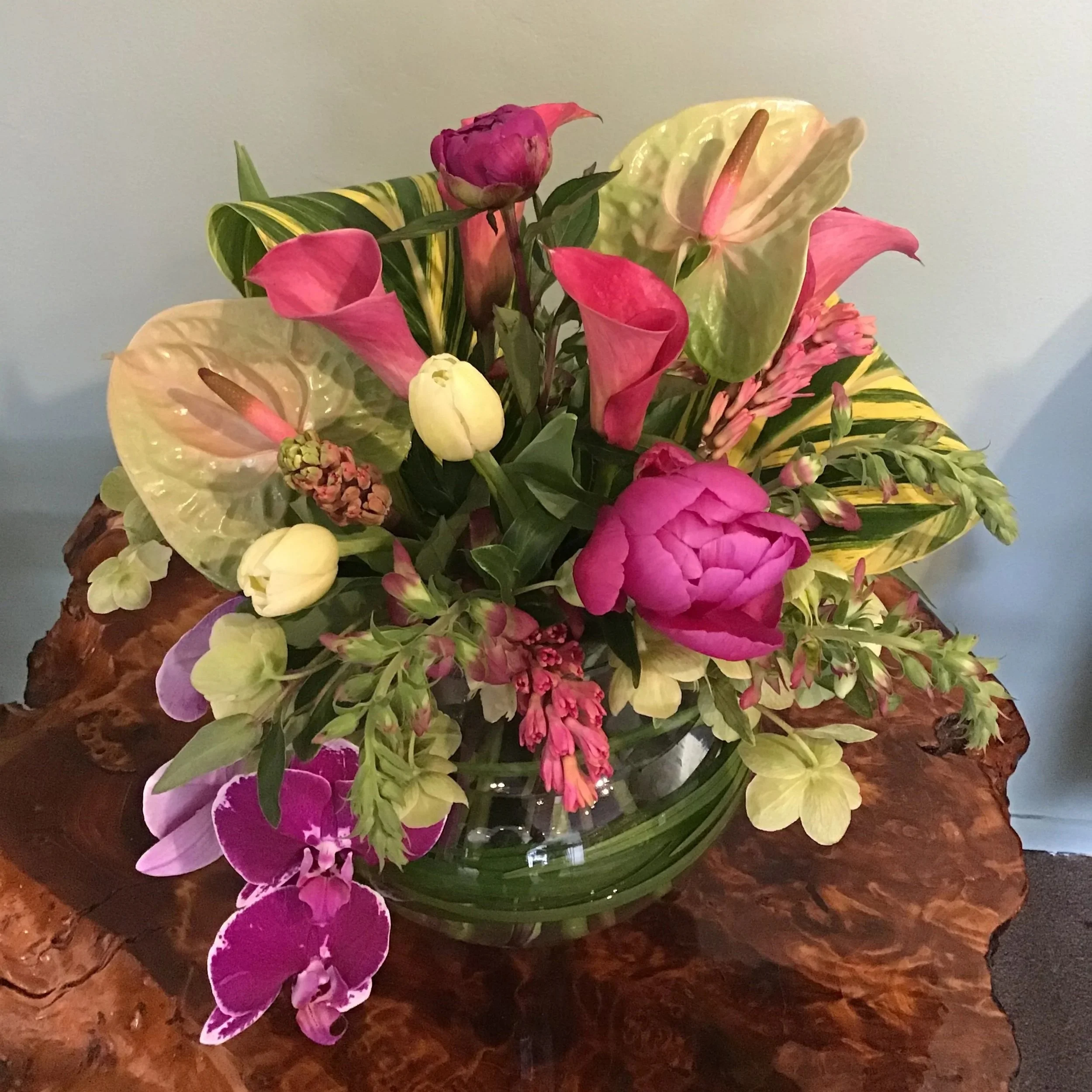 Tropical Designer's Choice