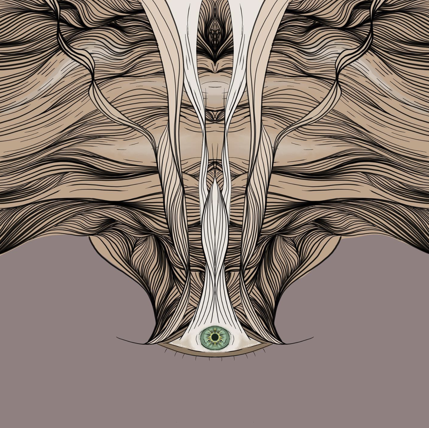 Screenshot 2025-02-20 at 4.21.05 PM.png