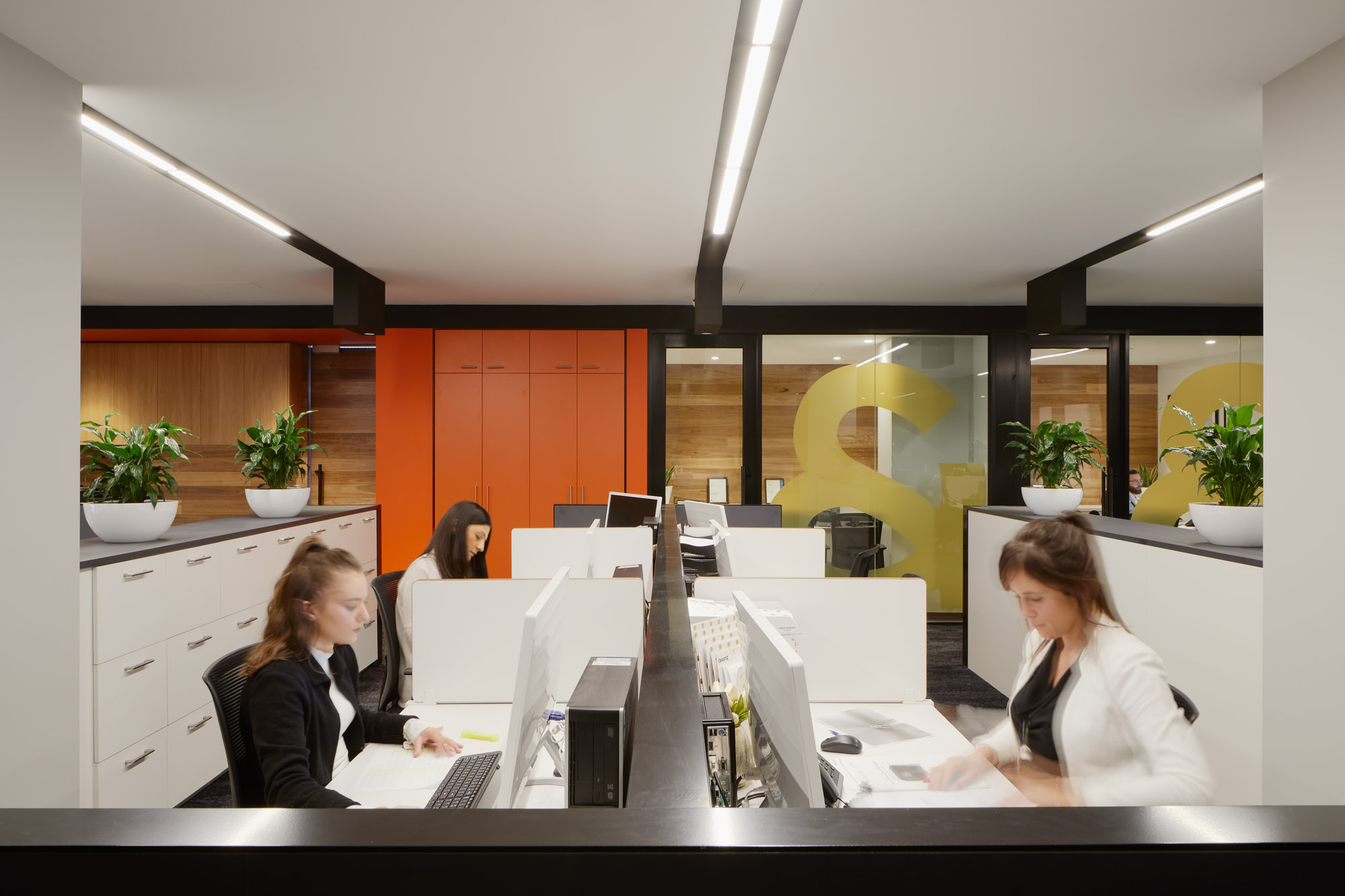 MOS Architects_Raine and Horne_©Tatjana Plitt_57A2612.jpg