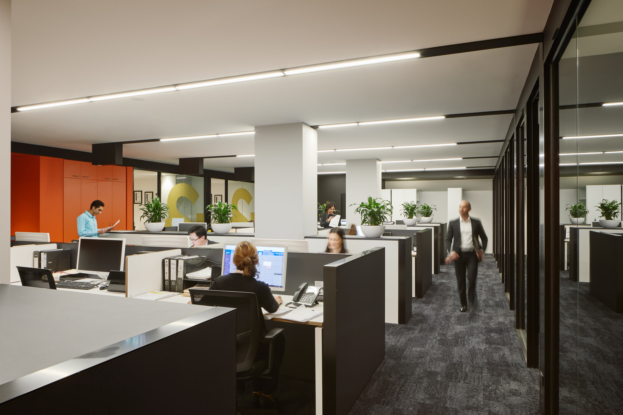 MOS Architects_Raine and Horne_©Tatjana Plitt_57A2678.jpg