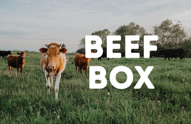 beef box.png