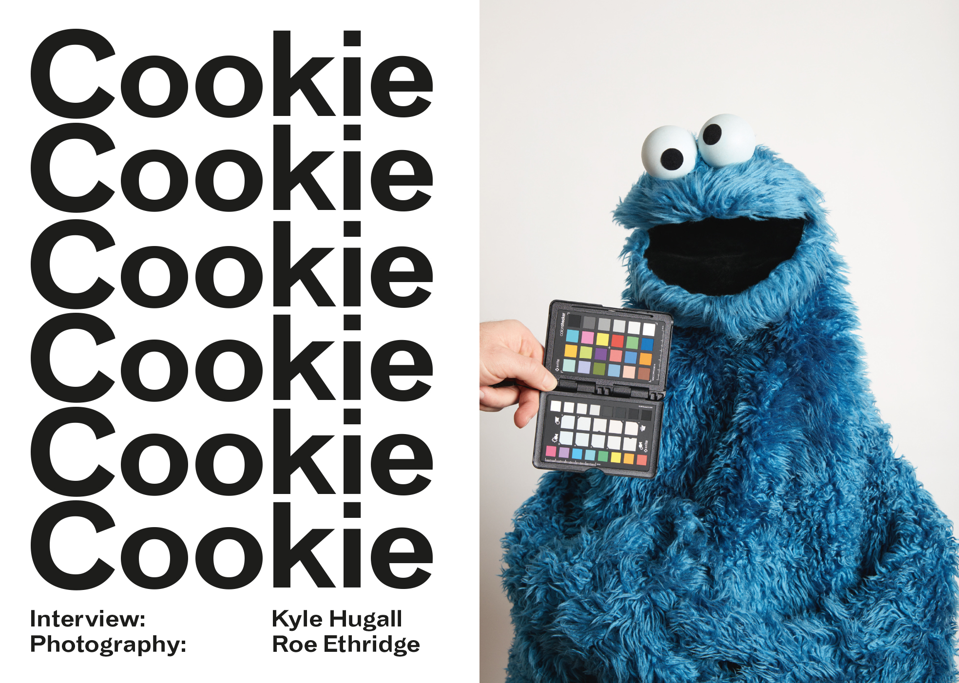 Cookie-1.jpg
