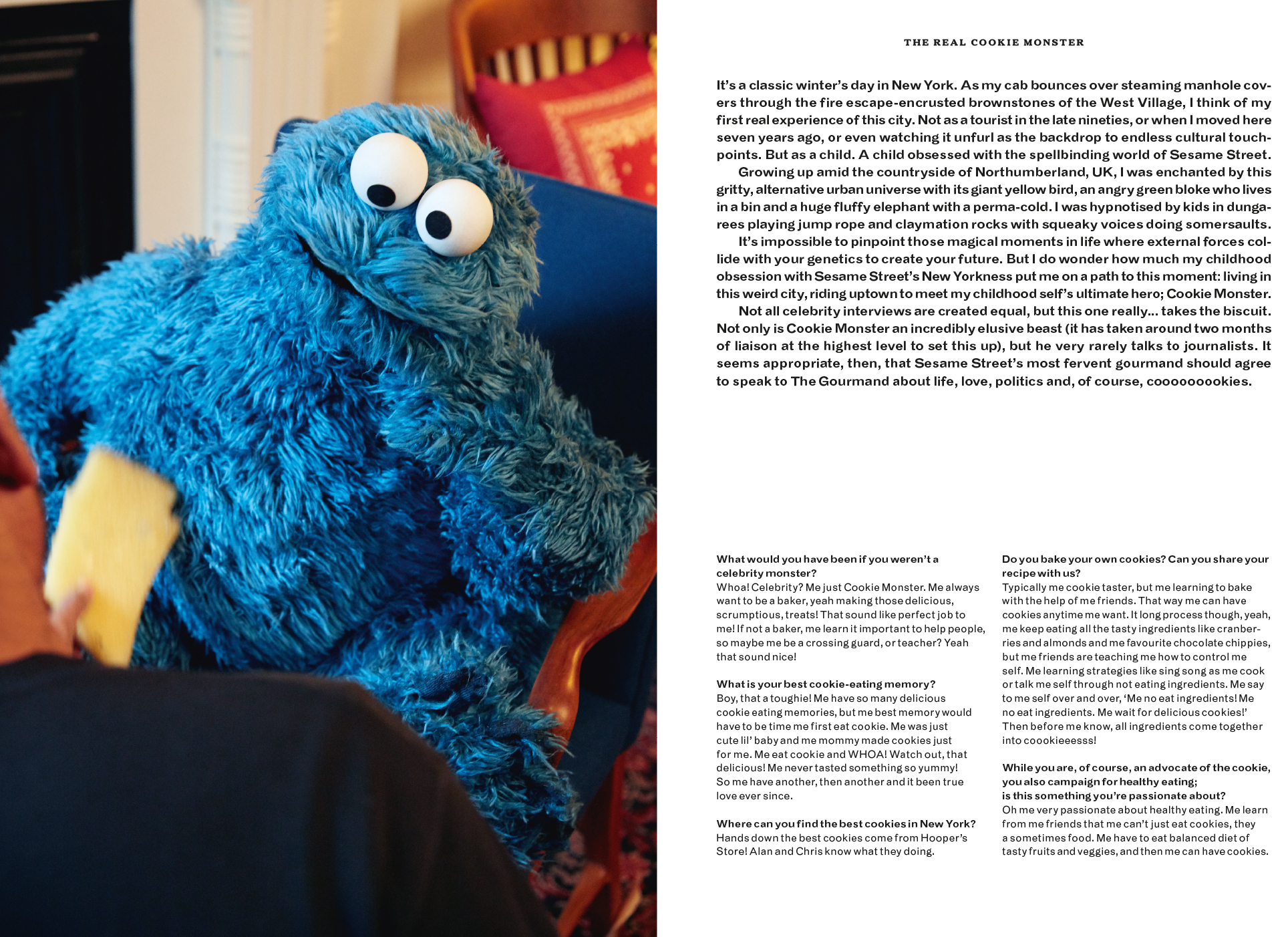 Cookie-2.jpg