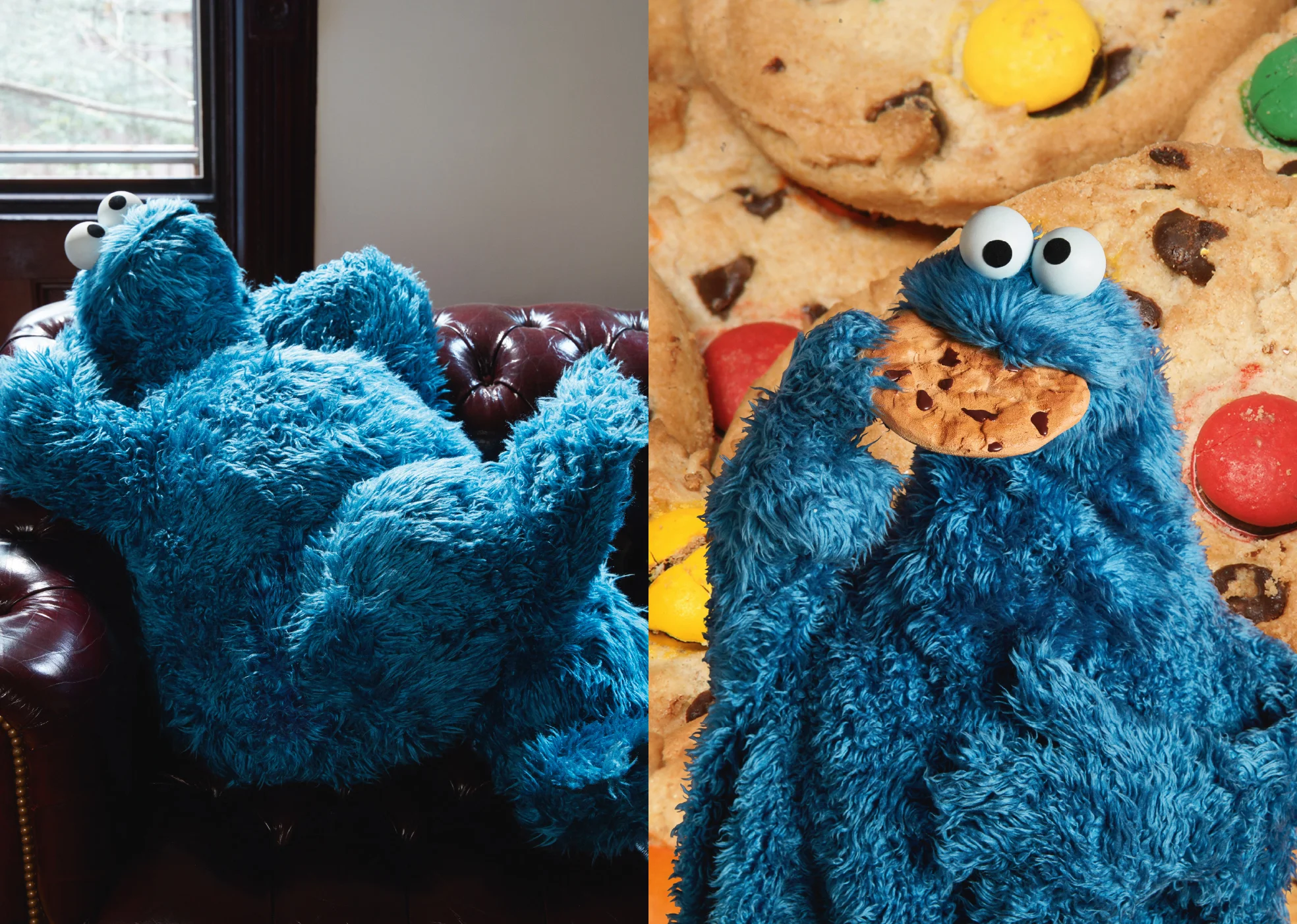 Cookie-4.jpg