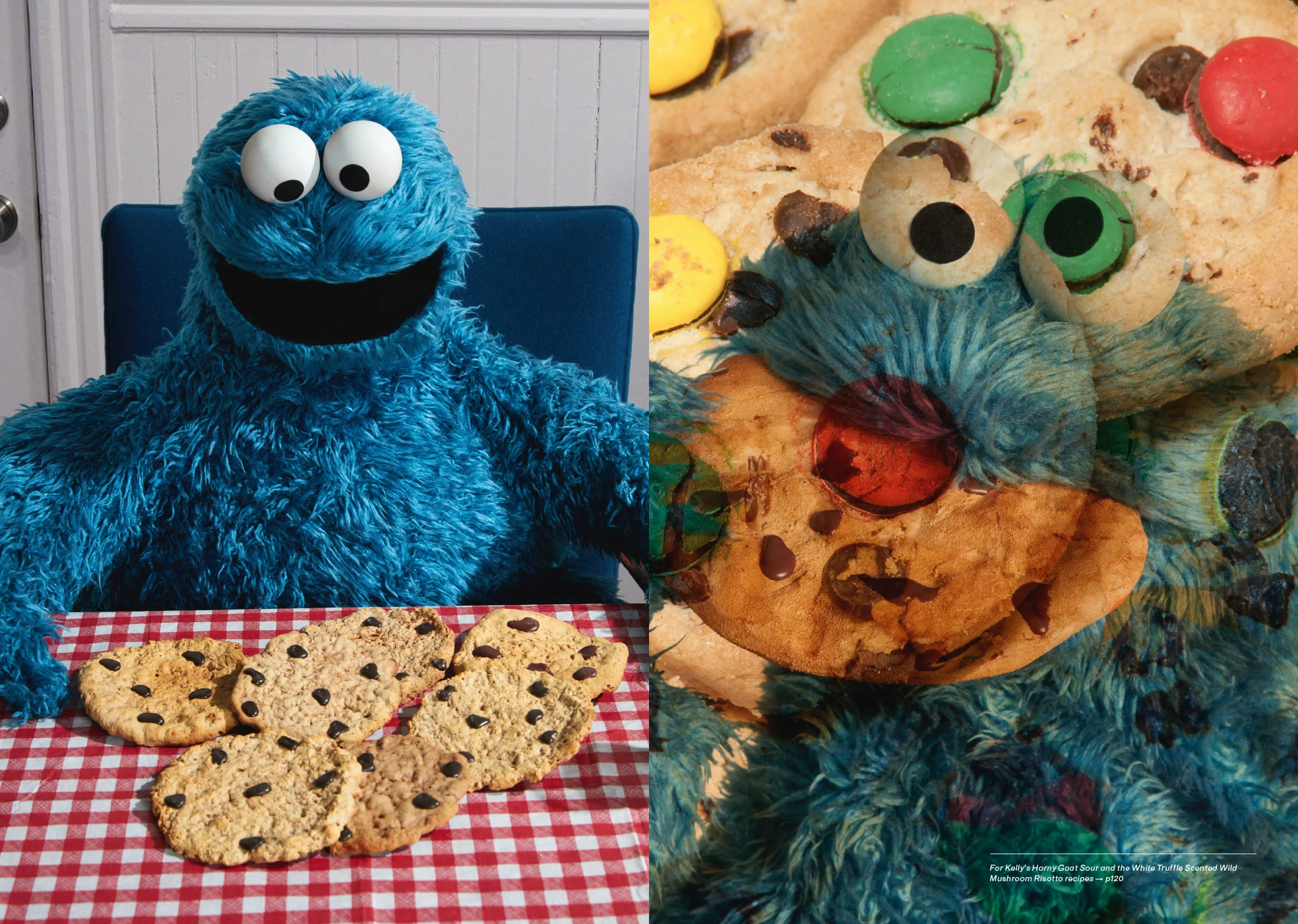 Cookie-5.jpg
