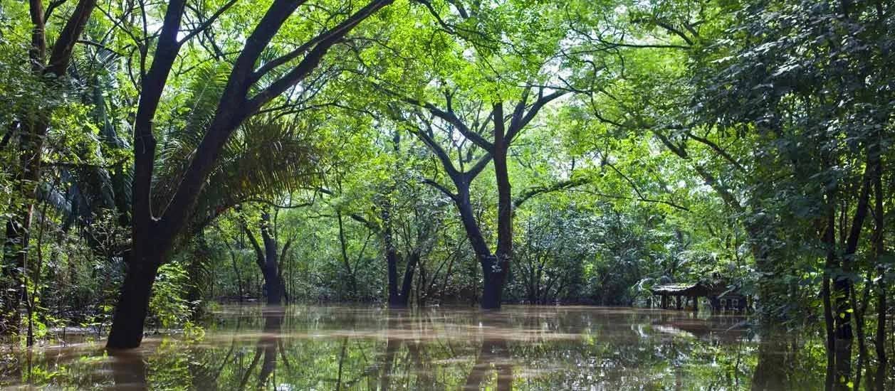 Guanacaste: Tamarindo