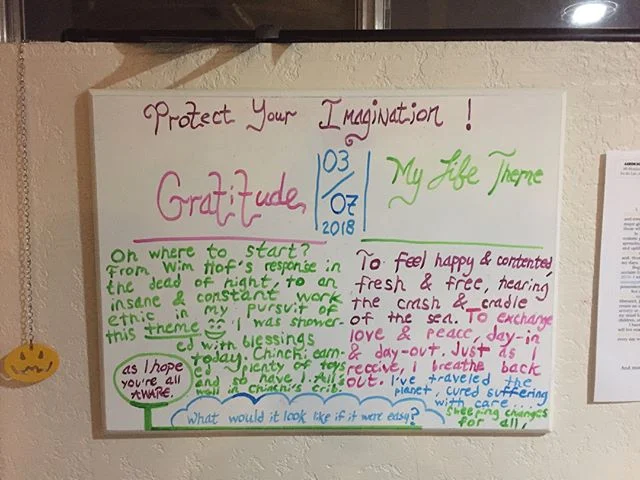 As promised: Day Two. Posted just in time!

A big day for Mr. Chinchi the Chinchilla.

And yes, I&rsquo;ve skipped two days. Deal with it!

#dailygratitude