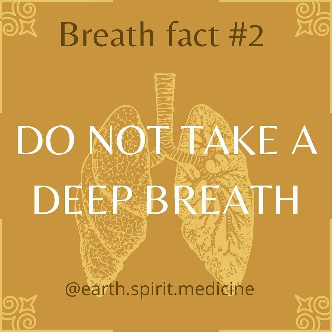 DO NOT TAKE A DEEP BREATH 🫁

I am sure when many of you when you have had a stressful day have been given the advice &quot;Just take a deep breath&quot;. As well meaning as this advice is, it is actually not the most helpful one. 

But how can that 