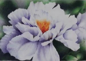 Watercolour flower.jpg
