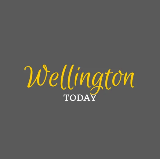 WTN Today Logo 1.jpg