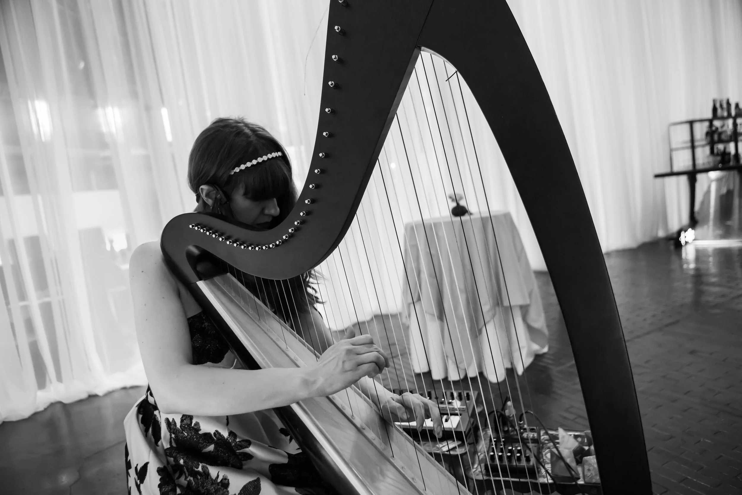 Audrey Harrer – Boston Center for the Arts Ball