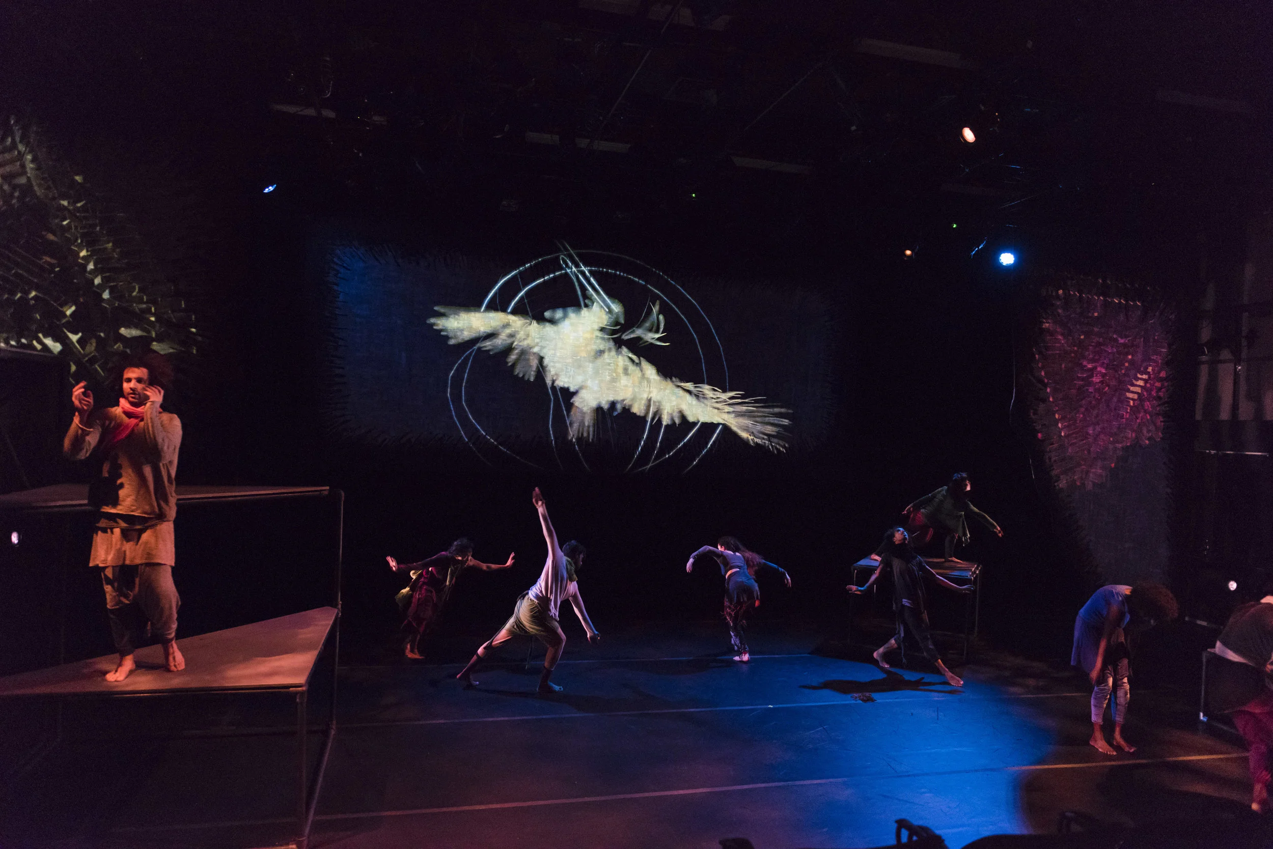 ANIKAYA Dance Theater - Conference of the Birds
