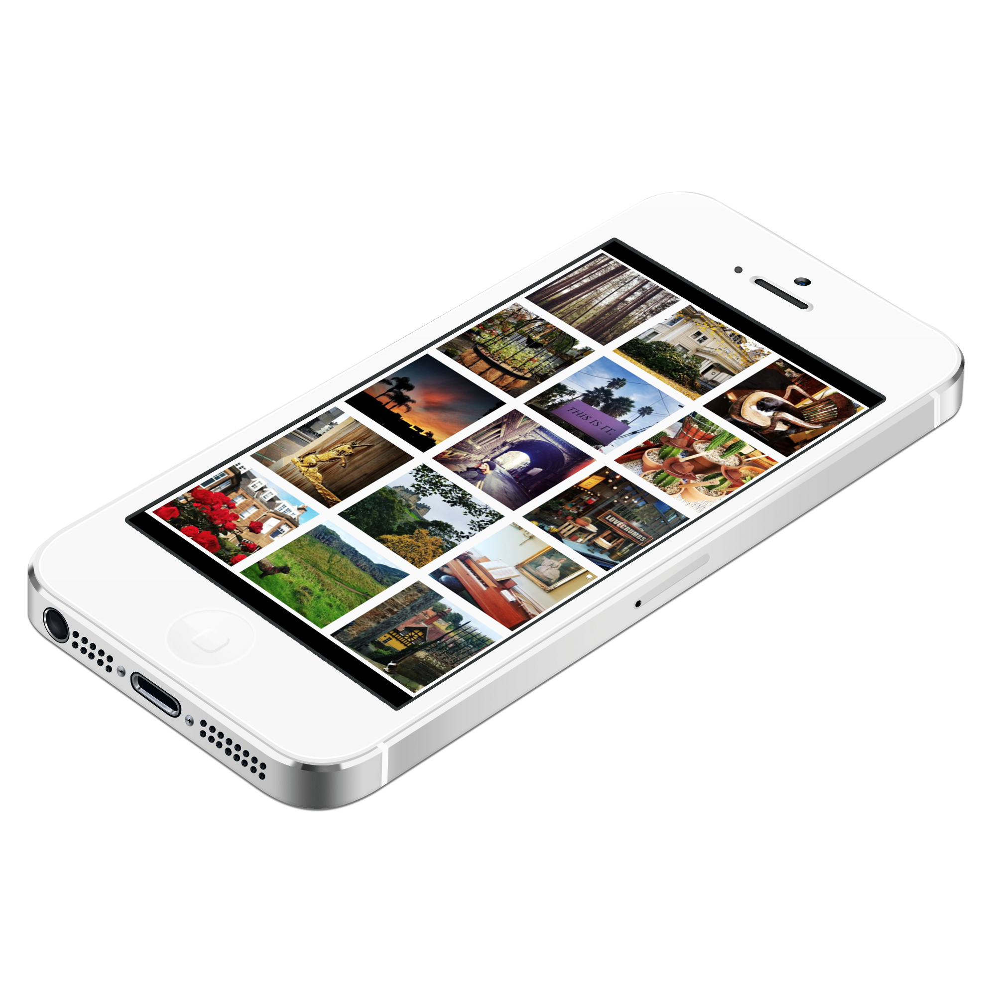 Screen Shot 2019-03-09 at 8.42.00 PM_iphone_white_angle1.png