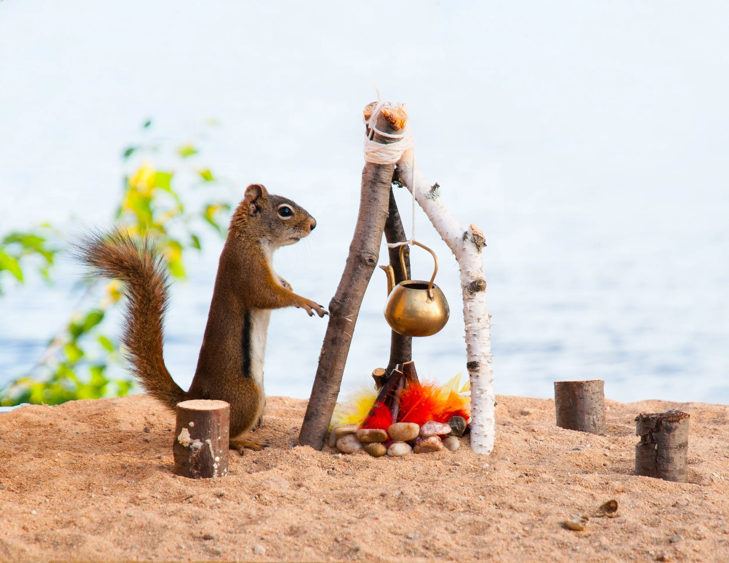 68lUC0AGQLyHschX9EgA_full_squirrel.jpg