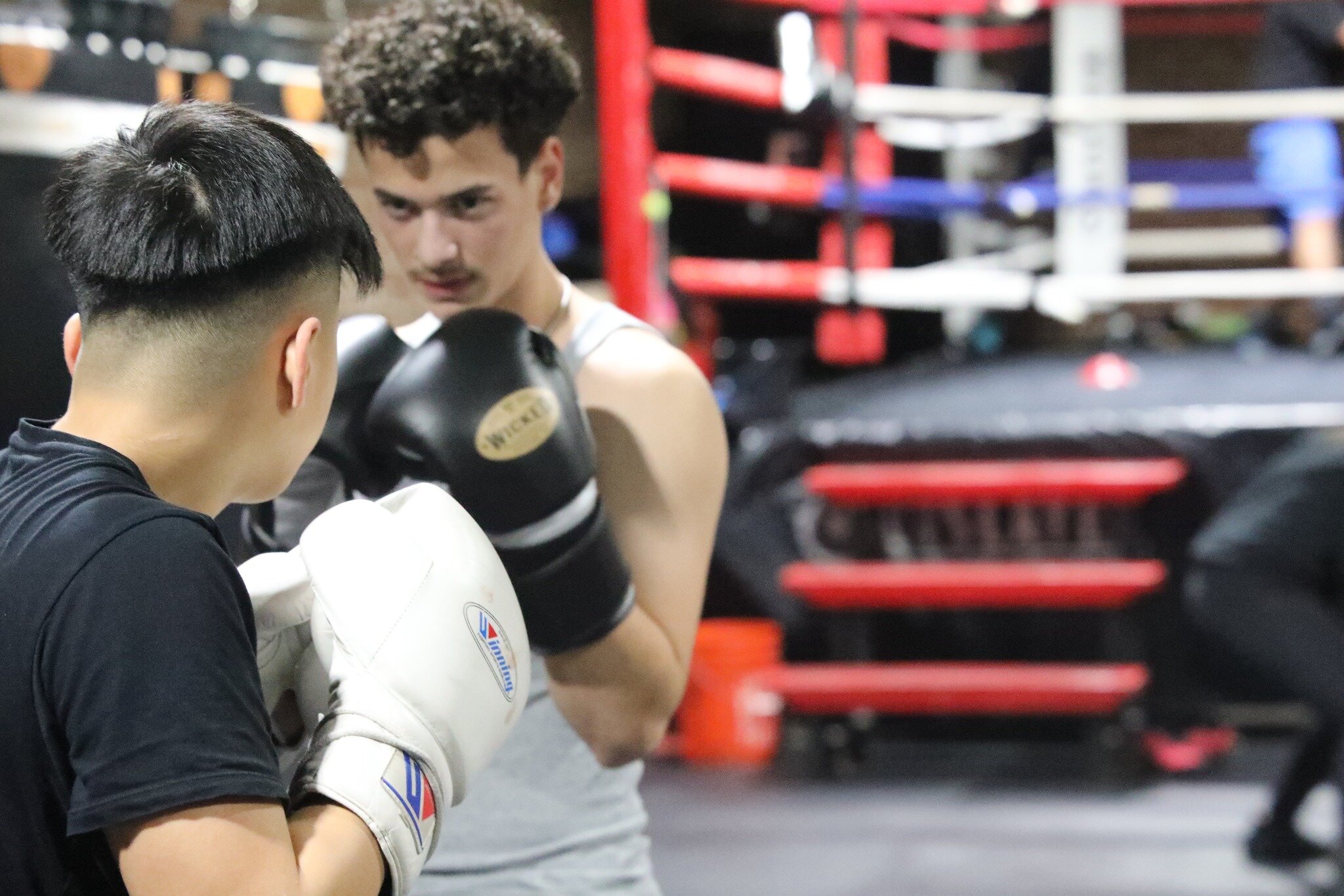 Contact us today, for a FREE Trial Class
688 E14 San Leandro, Ca.
📩: theteam@kennelboxing.com

#boxing #boxeo #box #boxinglife #training #gym #workout #fighter #champion #knockout #fighting #fitness #fitnessmotivation #selfdefense #boxinggym #boxing