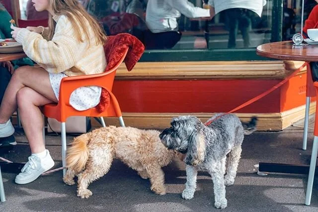 We love watching your doggos making friends at the Circus 🐶 So post up with a coffee for yourself and a bowl of water for your pup 😊

Online booking ➡️ Link In Bio

#staysafe

Circus Circus ❤️
.
.
.⁣⁠
.⁣⁠
.⁣⁠
.⁣⁠
.⁣⁠
.⁣⁠
.⁣⁠
📸 @pmcreatives⁣⁠
.⁣⁠
.