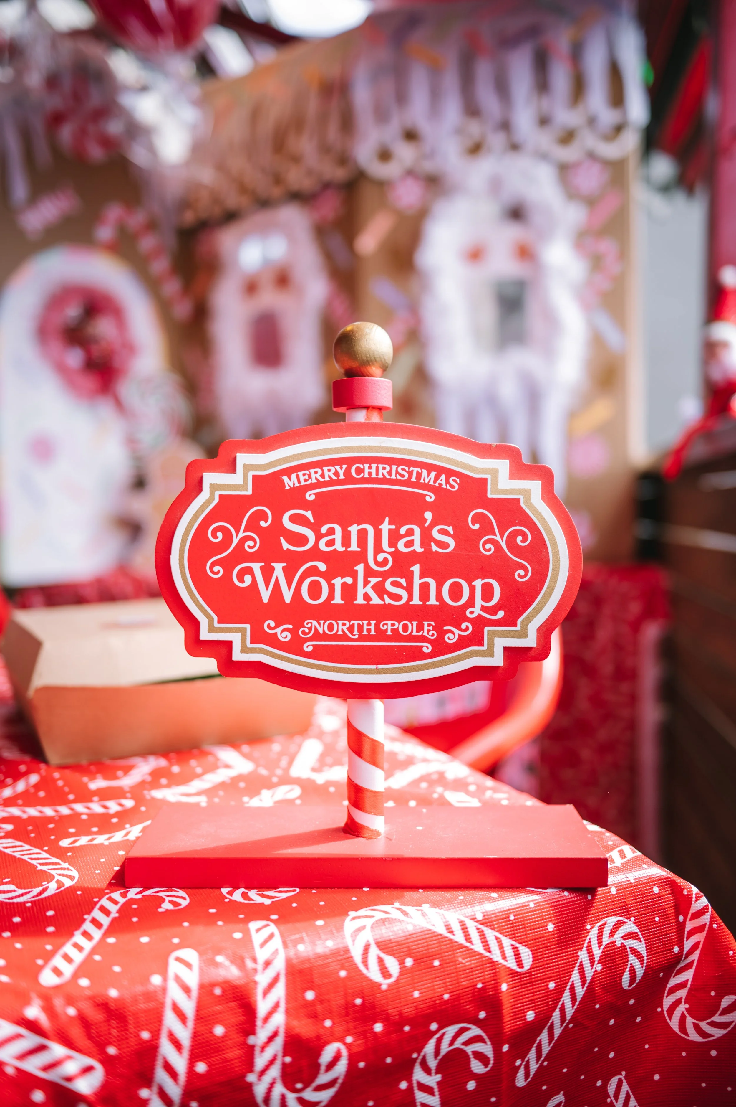 GingerbreadWorkshop-10 (1).jpg