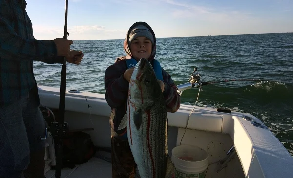 Little Danny Vilardi knows where to find ‘em.