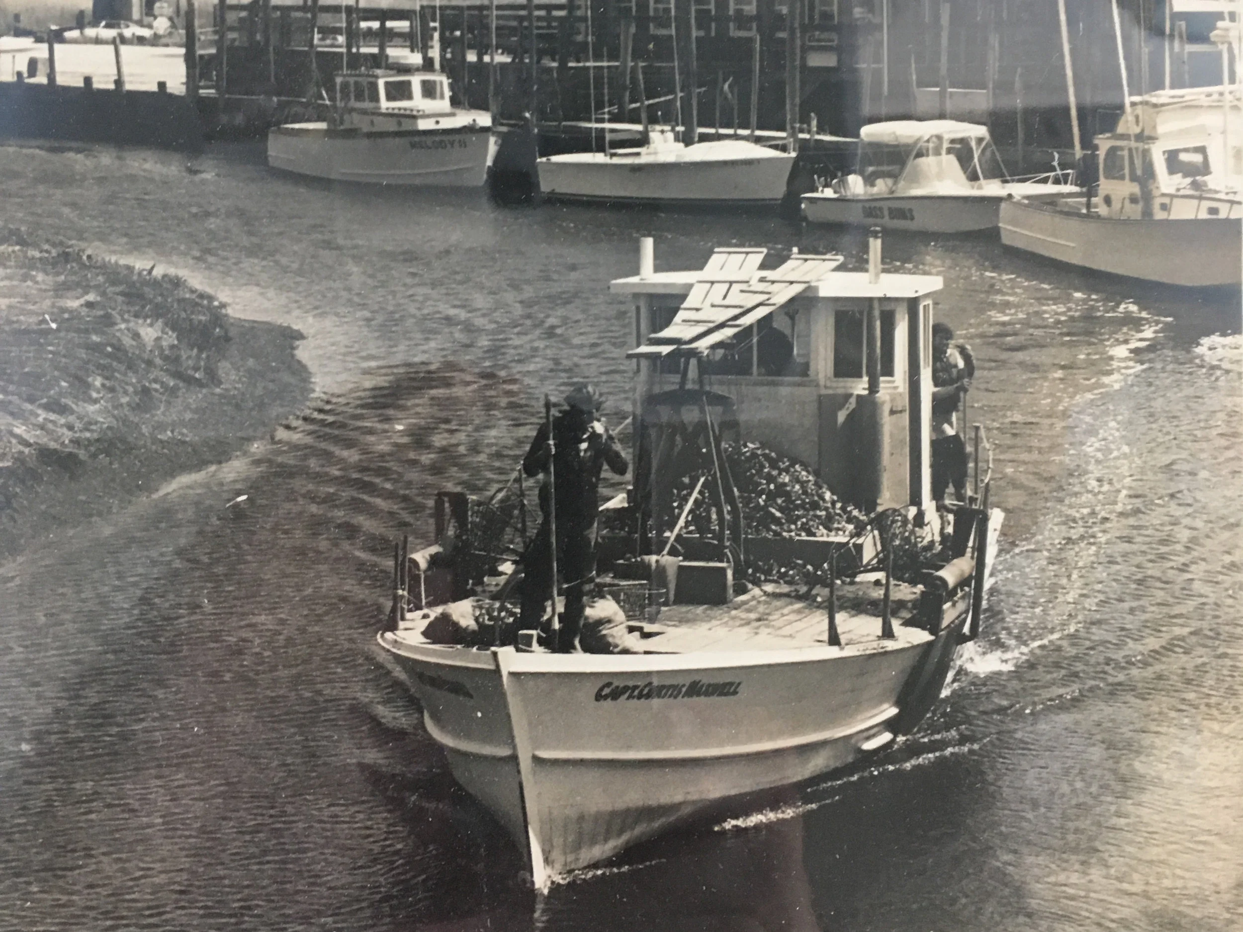 The original clammers when wild clams filled the bay. Courtesy Scales.