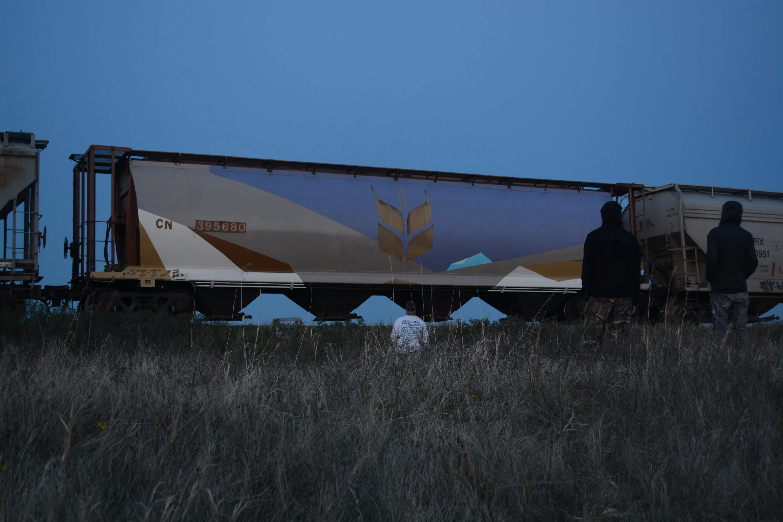 D71_1124.JPG