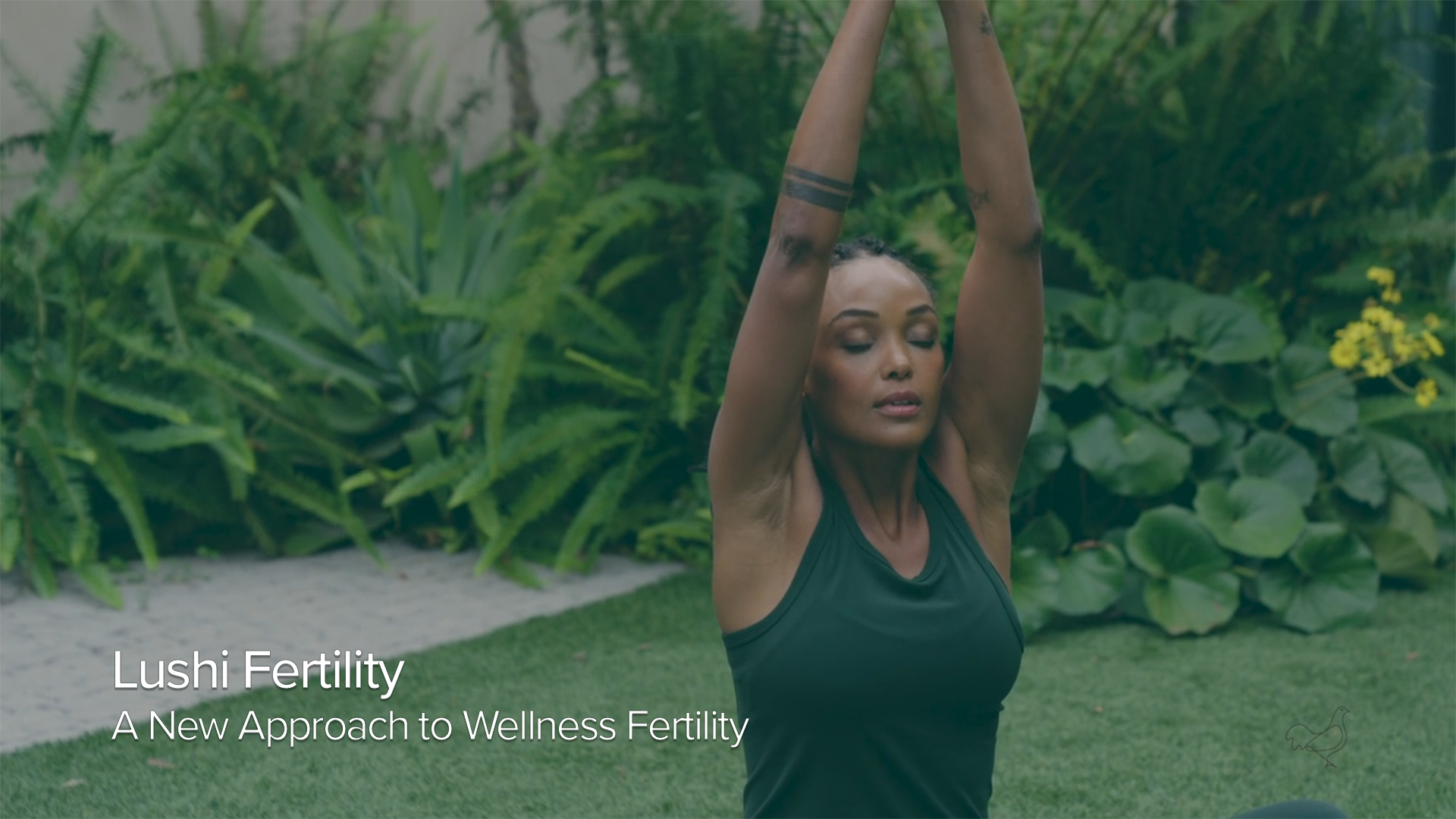 Lushi Fertility - A New Approach to Fertility Wellness