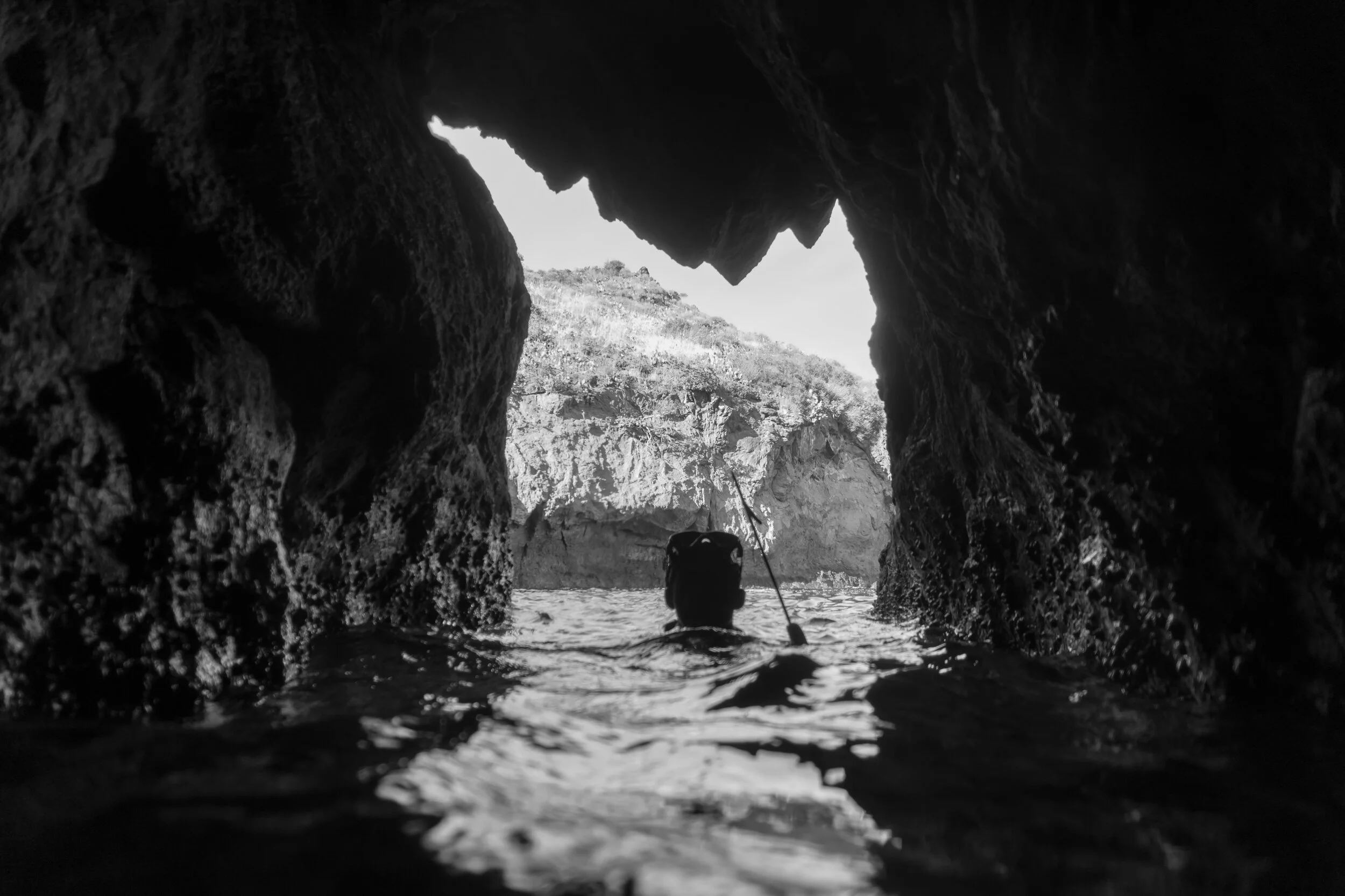 SOLID catalina trip-8.jpg