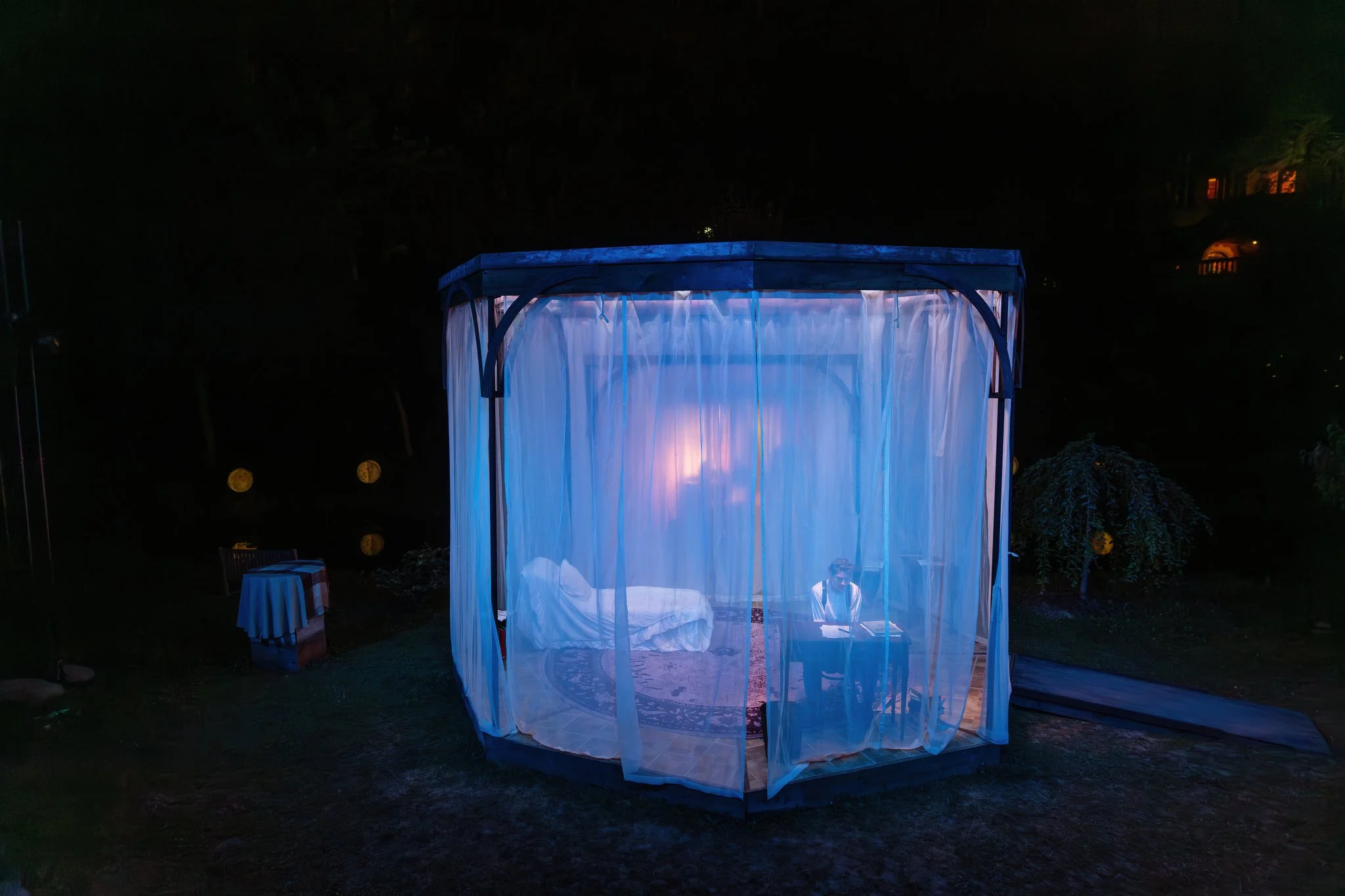 Seagull -   Web Size- BB310.JPG