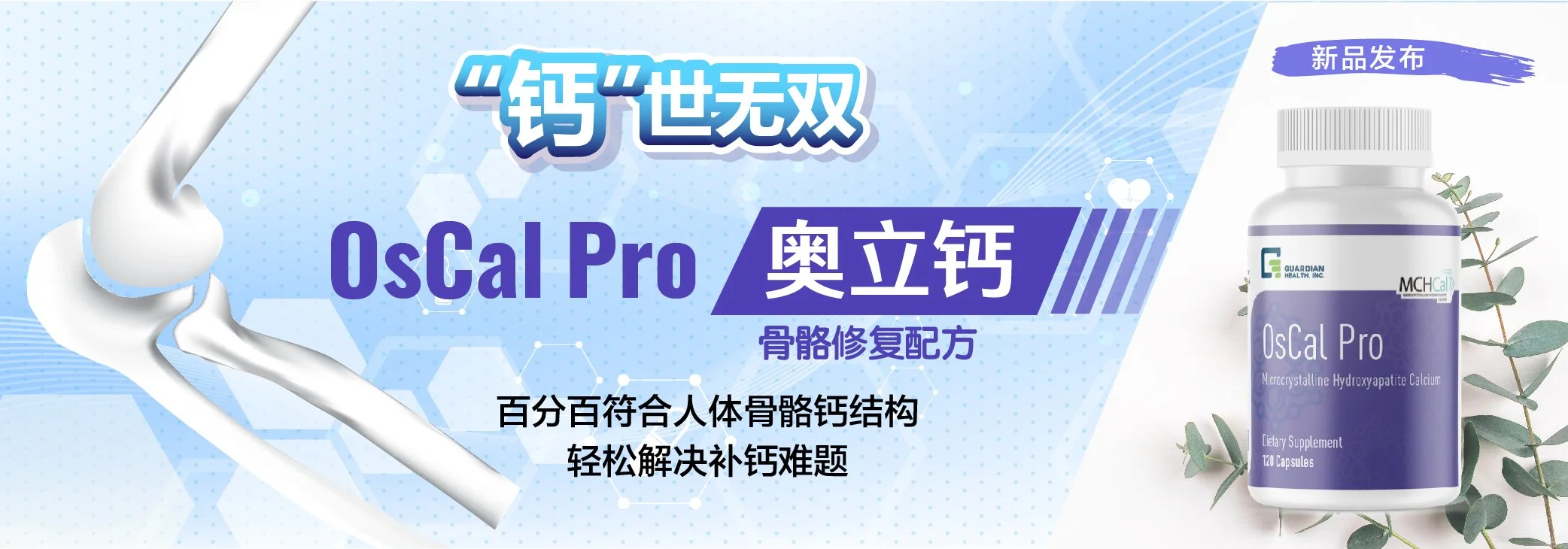 OscalPro_Banner_ChineseSimplified_20211019-01.jpg