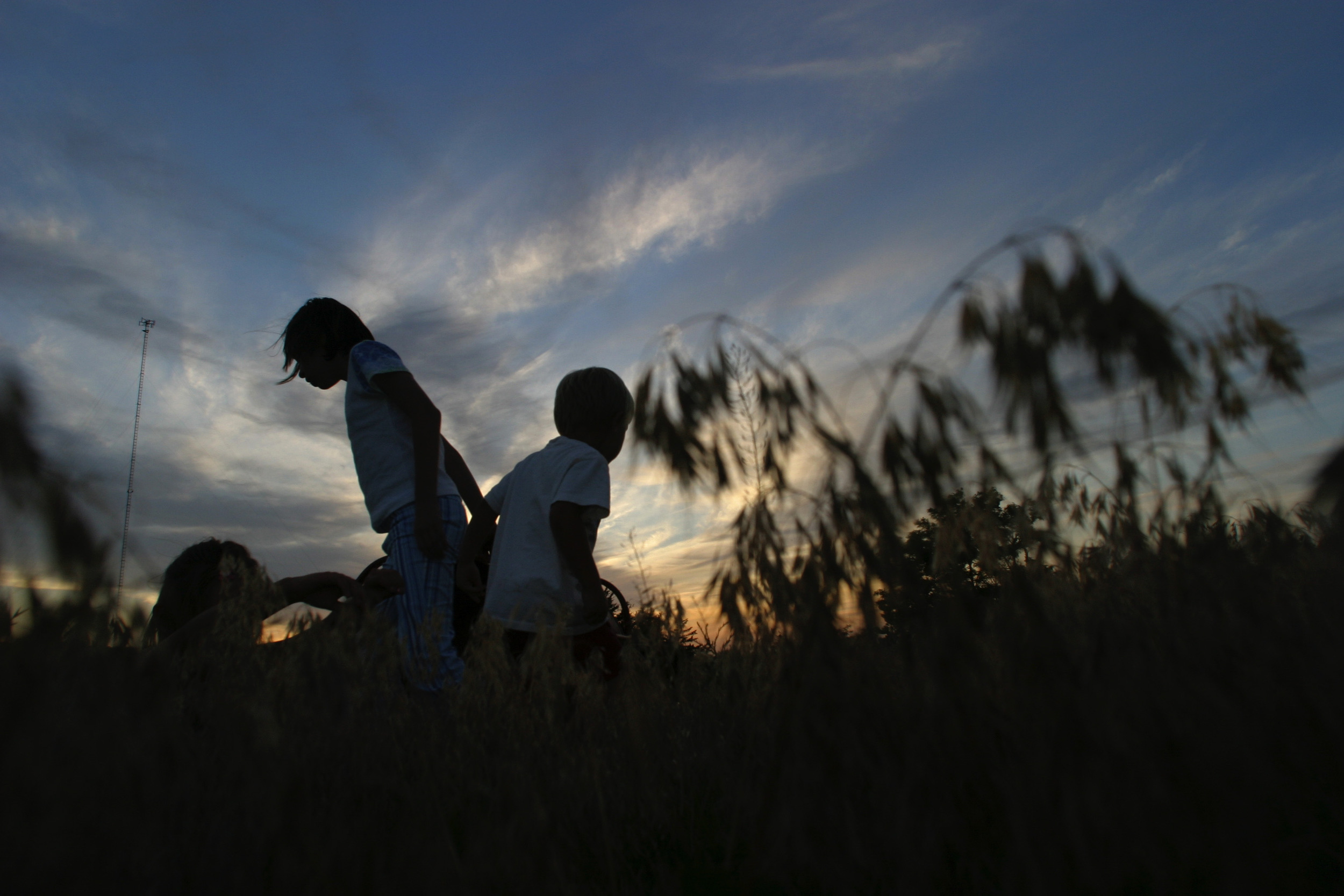  Austin Horn, 6, and his cousin London Busby , 9,  look for grasshoppers in the timothy grass on an Oklahoma summer evening in Weatherford.  