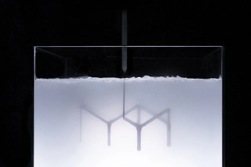 03_RapidLiquidPrinting_Exctrusion .jpg