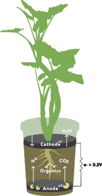 *2 Cathode : O2 + Proton(H+) + electron (e-) → H2O *3 Anode : Organics + Microorganism → electron (e-) + proton(H+) + CO2