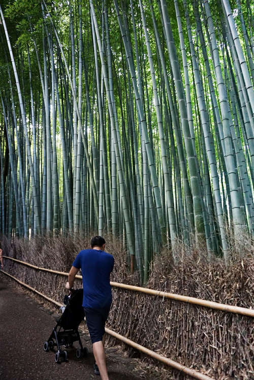 JPN_Kyoto_Bamboo pockit stroller.jpg